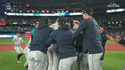Celebrate Wild Card GIF by MLB