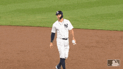 new york yankees running GIF by MLB