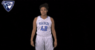 Upper Iowa GIF by UIUPeacocks