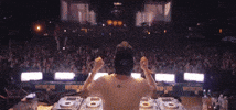 Nature One Crowd GIF by Robin Schulz