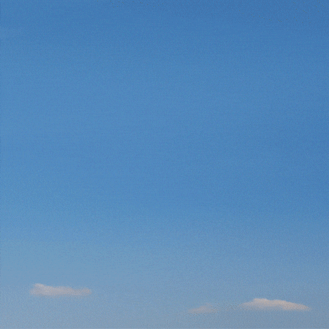 Lama GIF by Fio banka