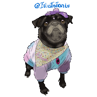 Dogs Pug Sticker