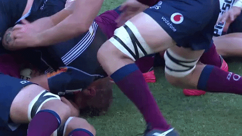 GIF by Rugbydump