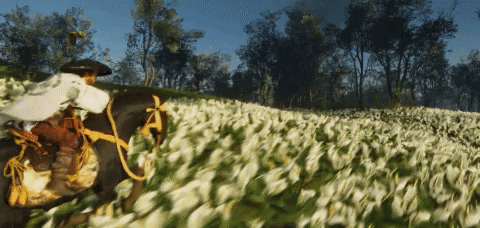 tngthanhnguyn giphygifmaker GIF