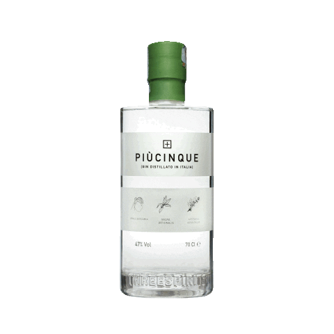 PiuCinque giphyupload gin piùcinque Sticker