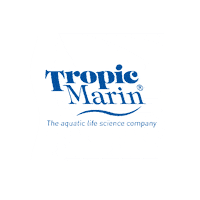 Sea Fish Sticker by Tropic Marin