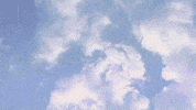 summer vhs GIF by Evewear