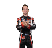 Honda Nestor Sticker by FIA World Touring Car Cup