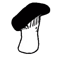 Spin Spinning Sticker by kuba matuszczak