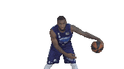 Liga Endesa Basketball Sticker by ACB