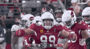 Arizona Cardinals Football GIF by NFL