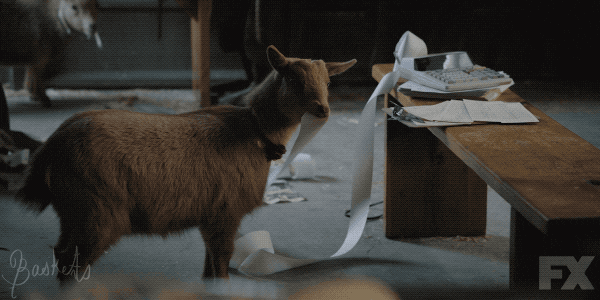 business fx GIF by BasketsFX