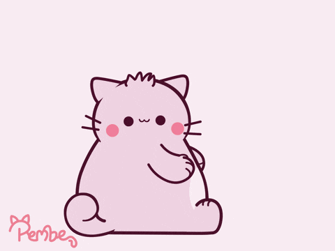 Pink Cat Mocking GIF by Pembe