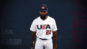 Pro GIF by USA Baseball
