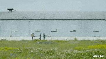 Drag Alaska GIF by ARRAY