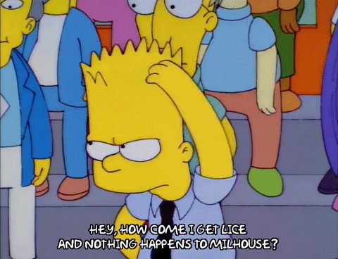 bart simpson episode 3 GIF