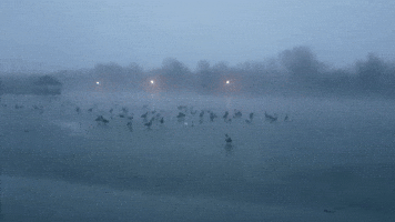 Dense Fog Settles Over Frozen Pond in Oklahoma