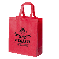 Empresa Bolsa Sticker by Pegasus Soluciones