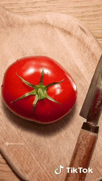 Colors Satisfying GIF by TikTok MENA