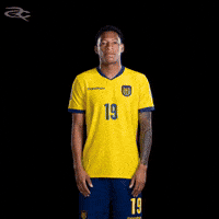 Fifa World Cup Ecuador GIF by Respective