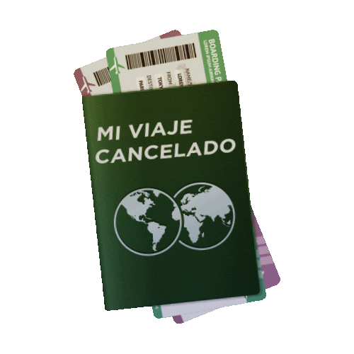 Cempasuchil Pandemuerto Sticker by Linio México