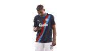 Do Not Disturb Football Sticker by Holstein Kiel