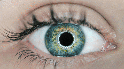 Pixel Watching GIF by MockoFun