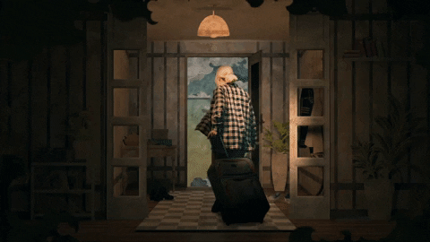 Dave Meyers GIF by P!NK