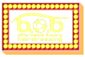 bobsalons  Sticker