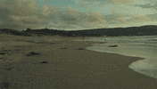shailene woodley hbo GIF by Big Little Lies