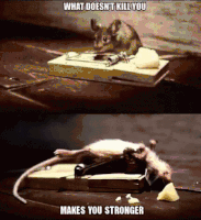 kill doesnt GIF