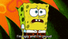 proud spongebob squarepants GIF