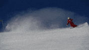 snow winter GIF by Tirol