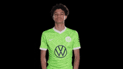 Simple As That Reaction GIF by VfL Wolfsburg