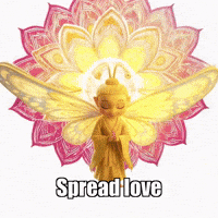 Compassion Love GIF by BuddhaFlyJourney