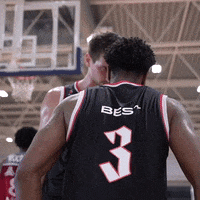 thelondonlions slap turn up stare down zuba GIF