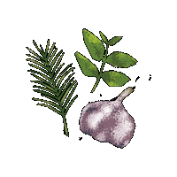 Herb Sticker by Evoolution