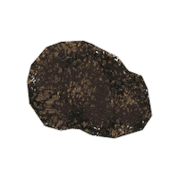 Truffle Blacktruffle Sticker by Evoolution