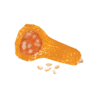 Butternutsquash Sticker by Evoolution
