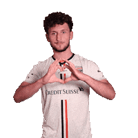 FCAarau fcaarau hasani binjaminhasani Sticker