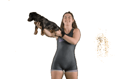 Ppp D3 Sticker by Albion College