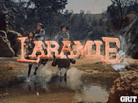 tv show television GIF by GritTV