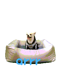 아르르 Sticker by arrr_official