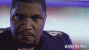 Football Celebrate GIF by Baltimore Ravens