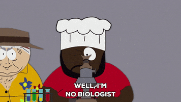 chef looking GIF by South Park 