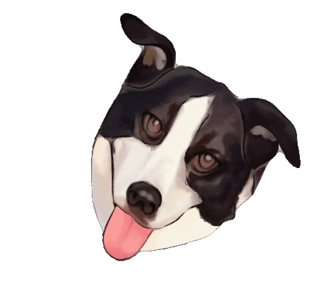 Swipe Up Youtube Sticker by Whiskey and Water Podcast