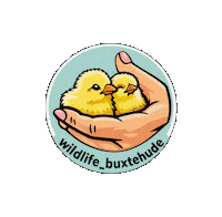 Logo Sticker