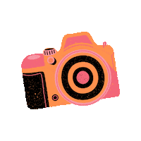 Photography Camera Sticker by Blond Fox