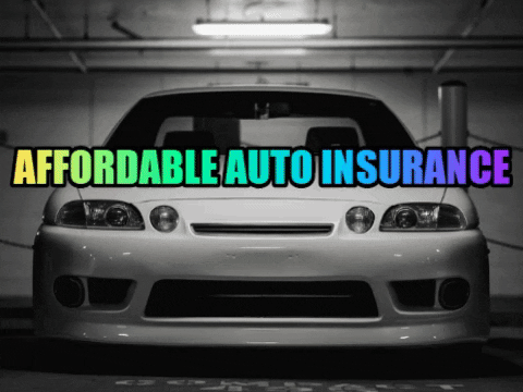 bdolbna giphygifmaker affordable auto insurance GIF