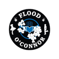 Champions Irish Sticker by Ashling Daly